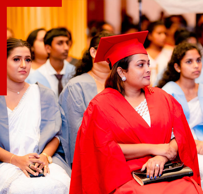 Populer Programmes - BritishCampus