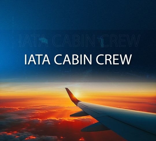 Populer Programmes - BritishCampus